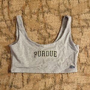 Gray Purdue Crop Top